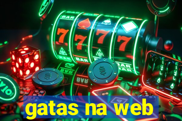 gatas na web